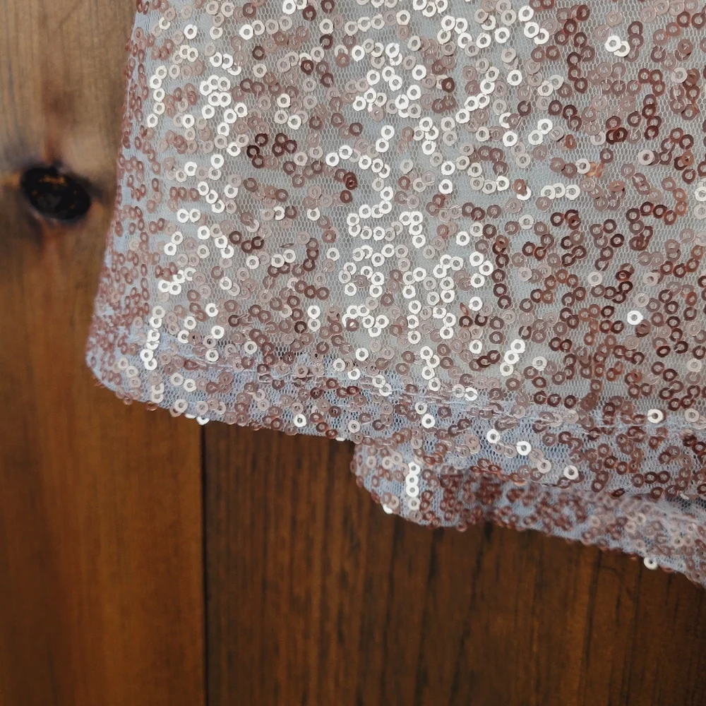 NWT AEO Rose Gold Sequin Mini Skirt - Picture 6 of 15